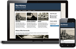 history website example