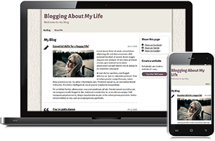 my-life website example